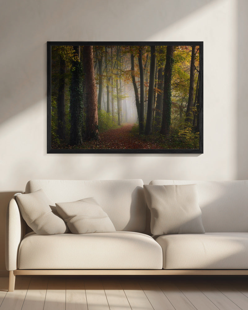 Autumn colorful forest | Canvas