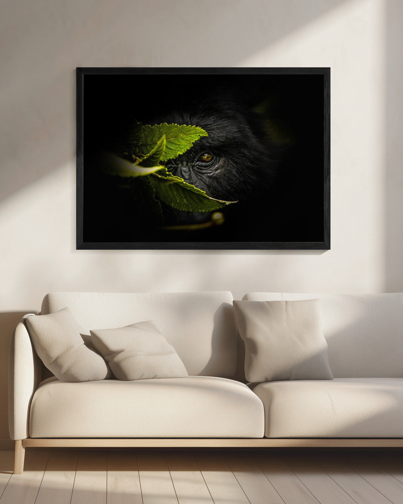 Keeping secrets | Canvas