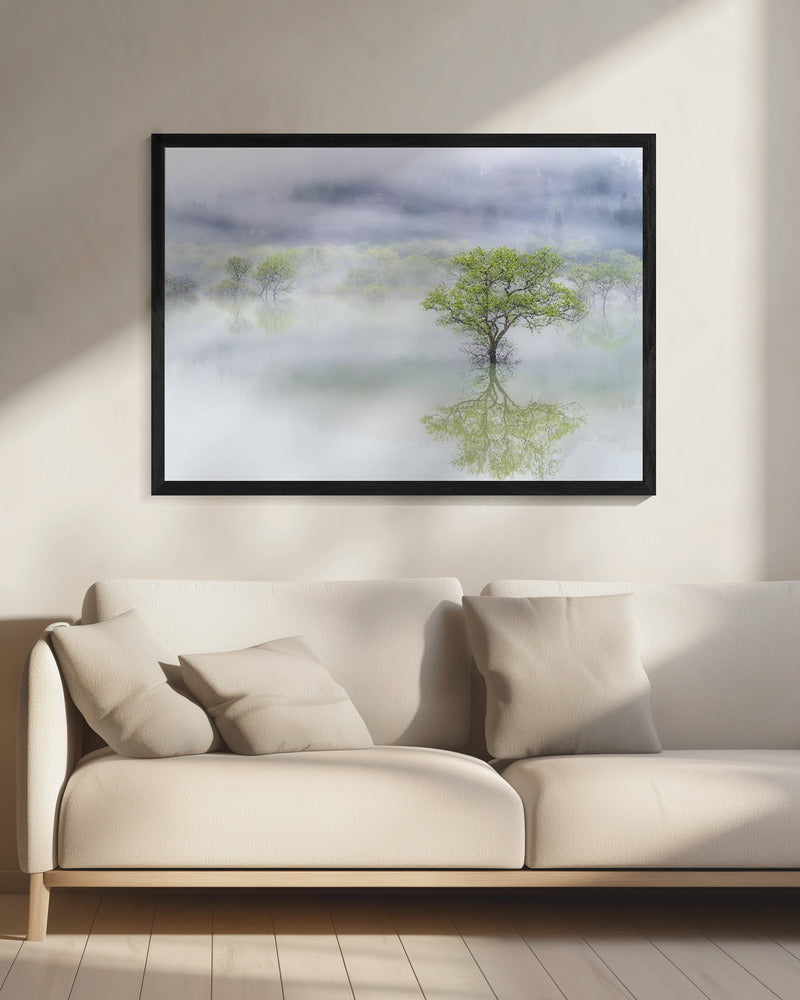 Dreamy tree | Canvas