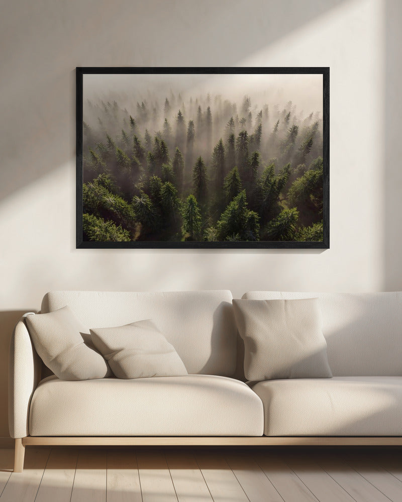 The Army of Firs | Canvas