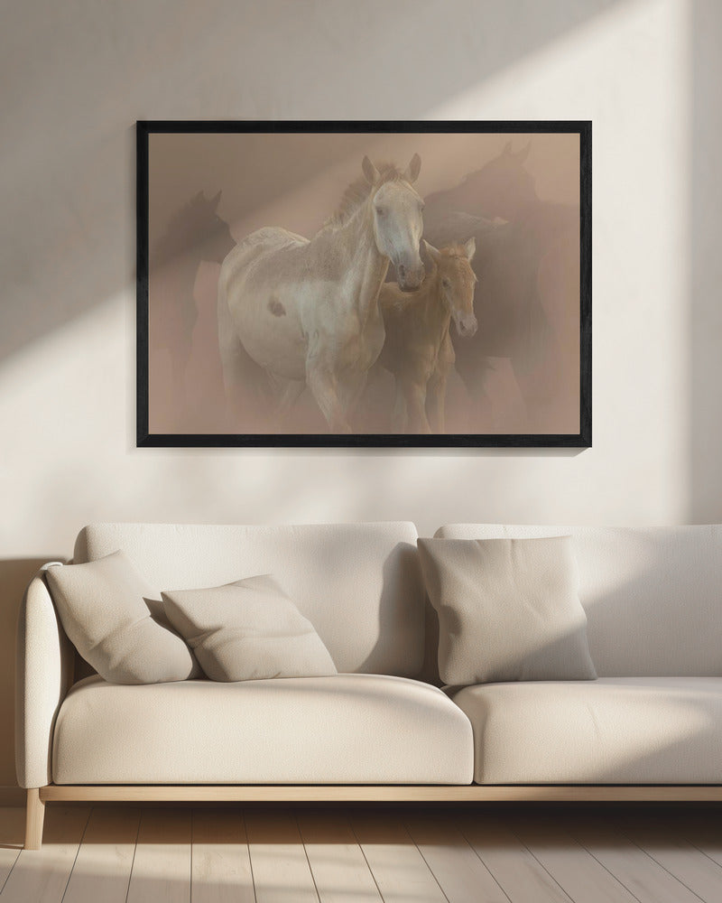 Saca de las Yeguas | Canvas