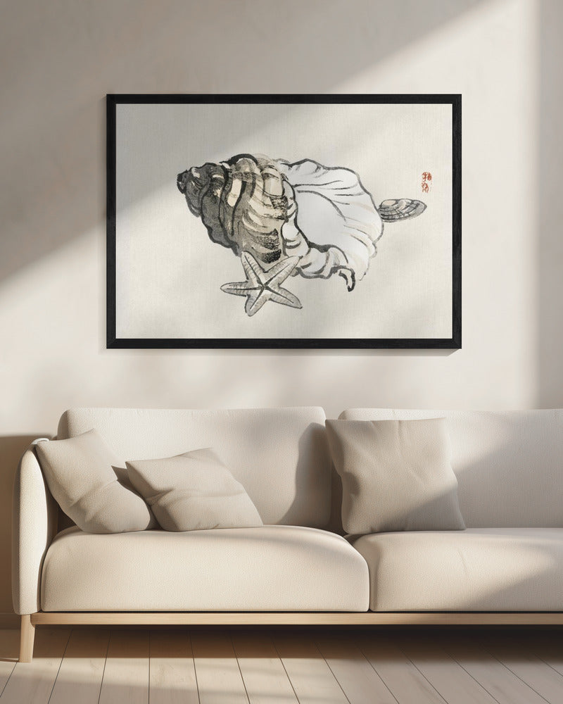 Star Fish and Conch | Canvas