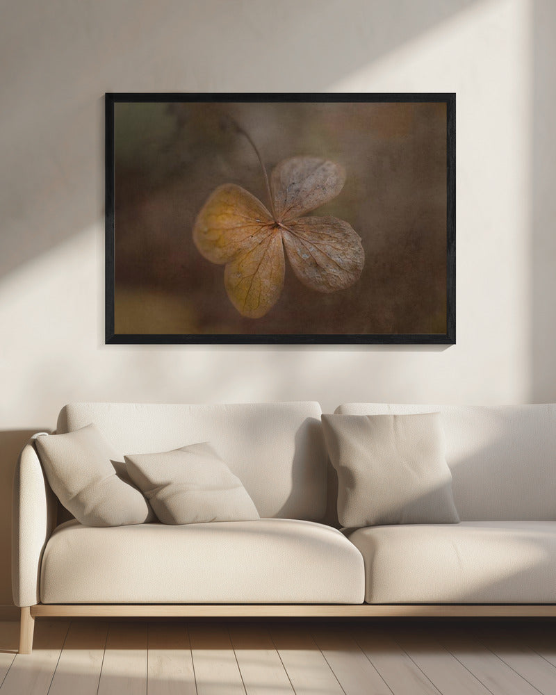 remains of the day | Canvas