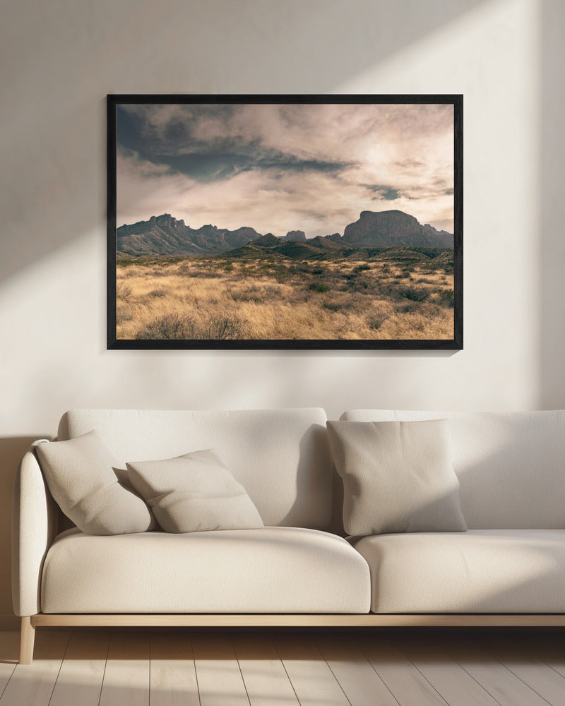 Isolation (1 of 1) | Canvas