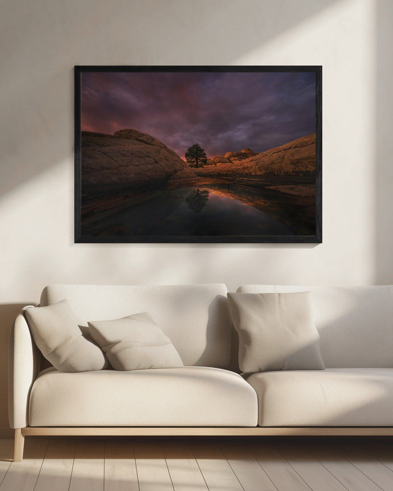 Morning Light | Canvas
