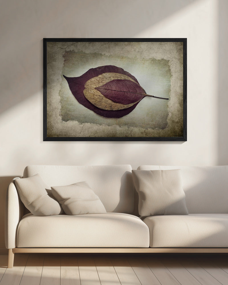 The Story of Nature | Canvas