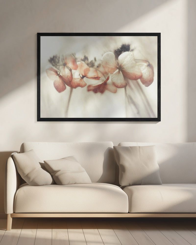 Bloomed | Canvas