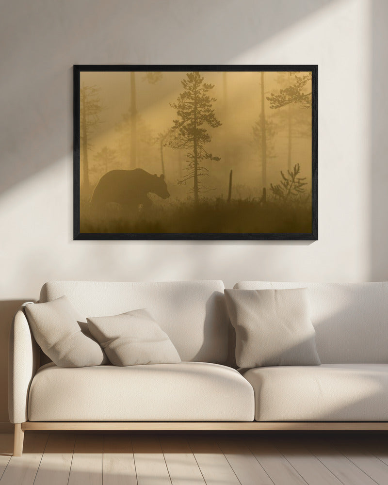 Morning Fog | Canvas