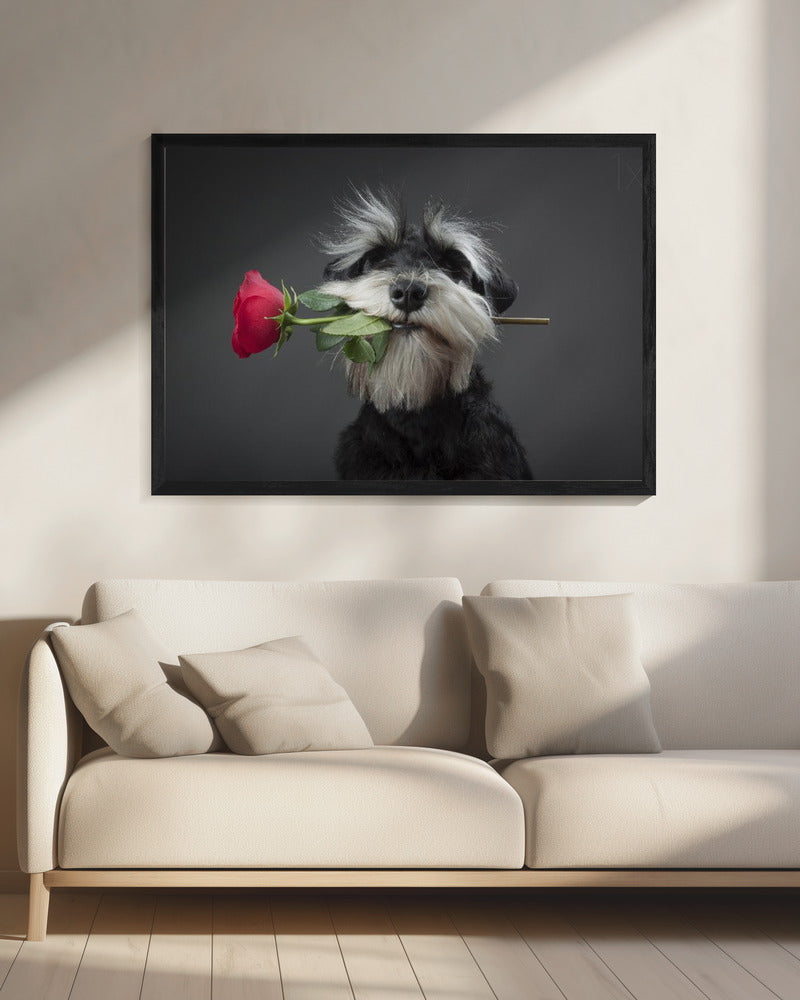 Tango Dancer | Canvas