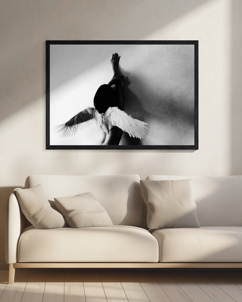 not fly | Canvas