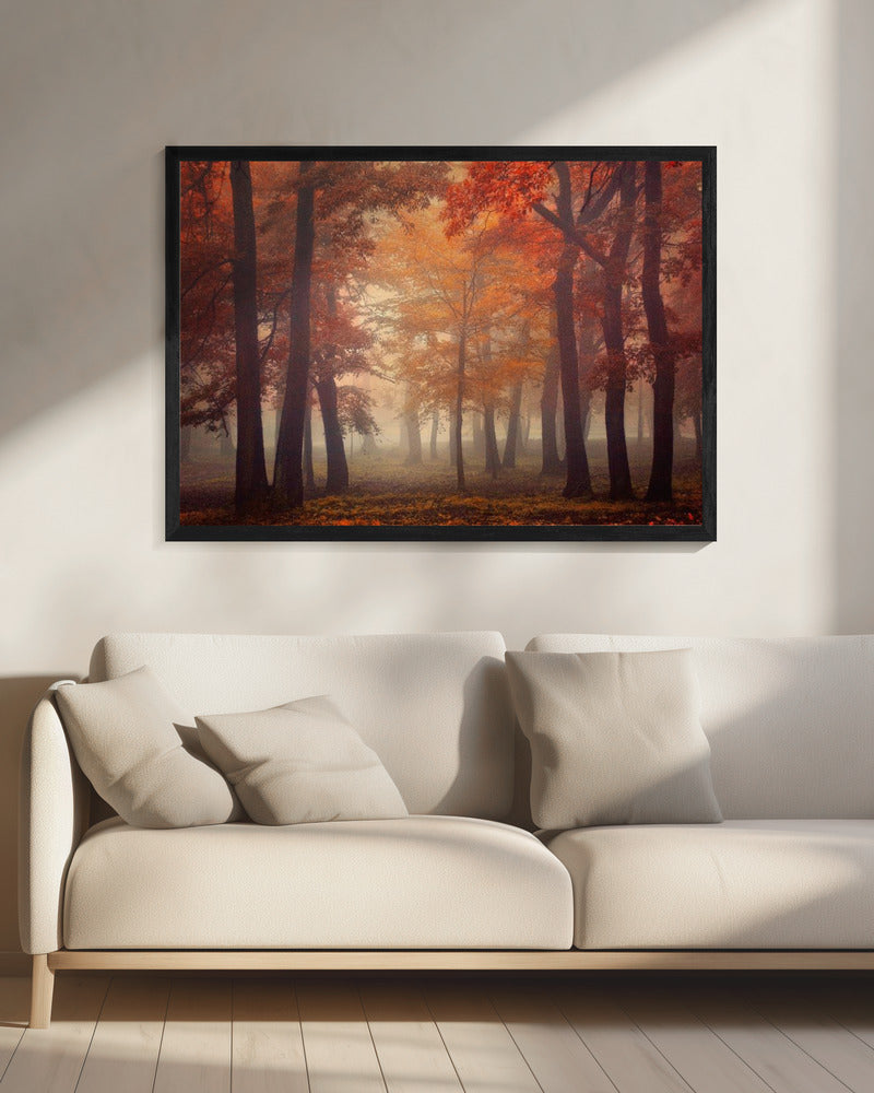 Feel | Canvas
