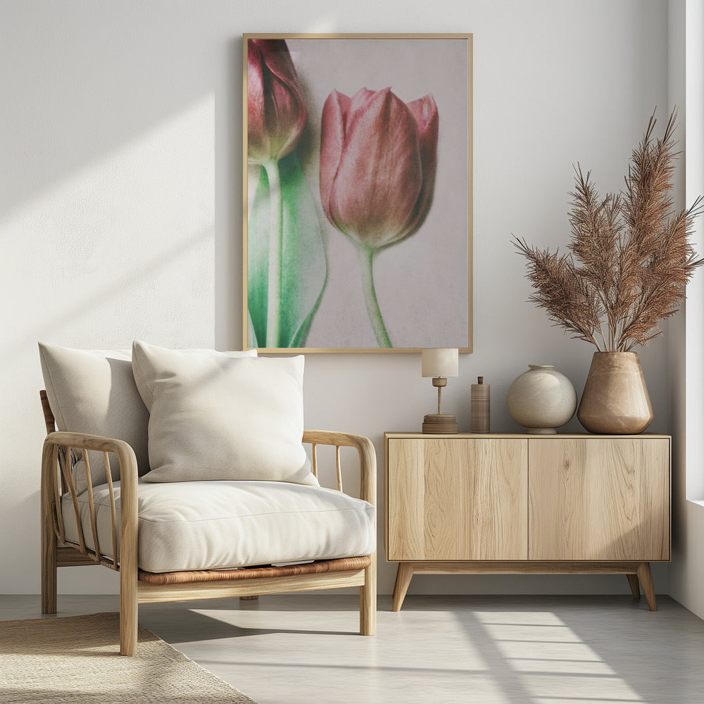 The Spring Lovers | Poster