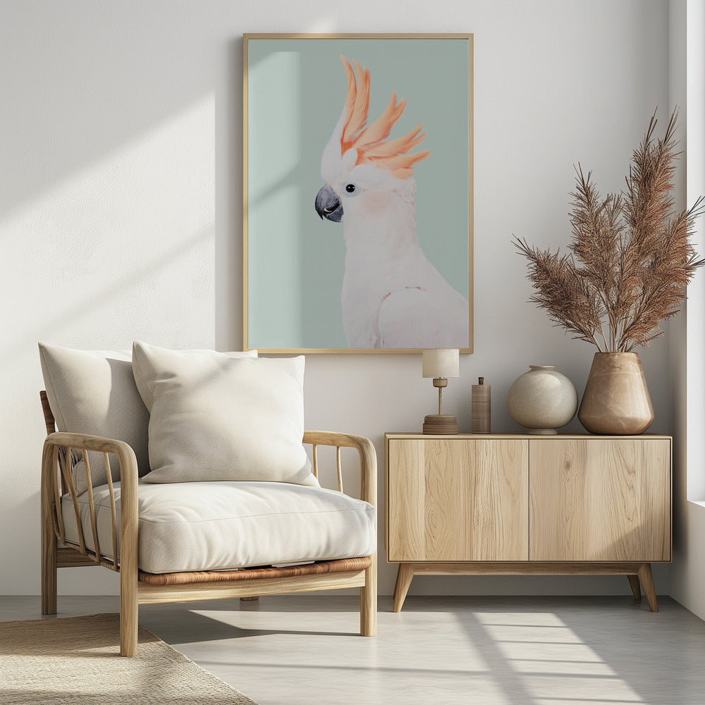 Cockatoo | Poster
