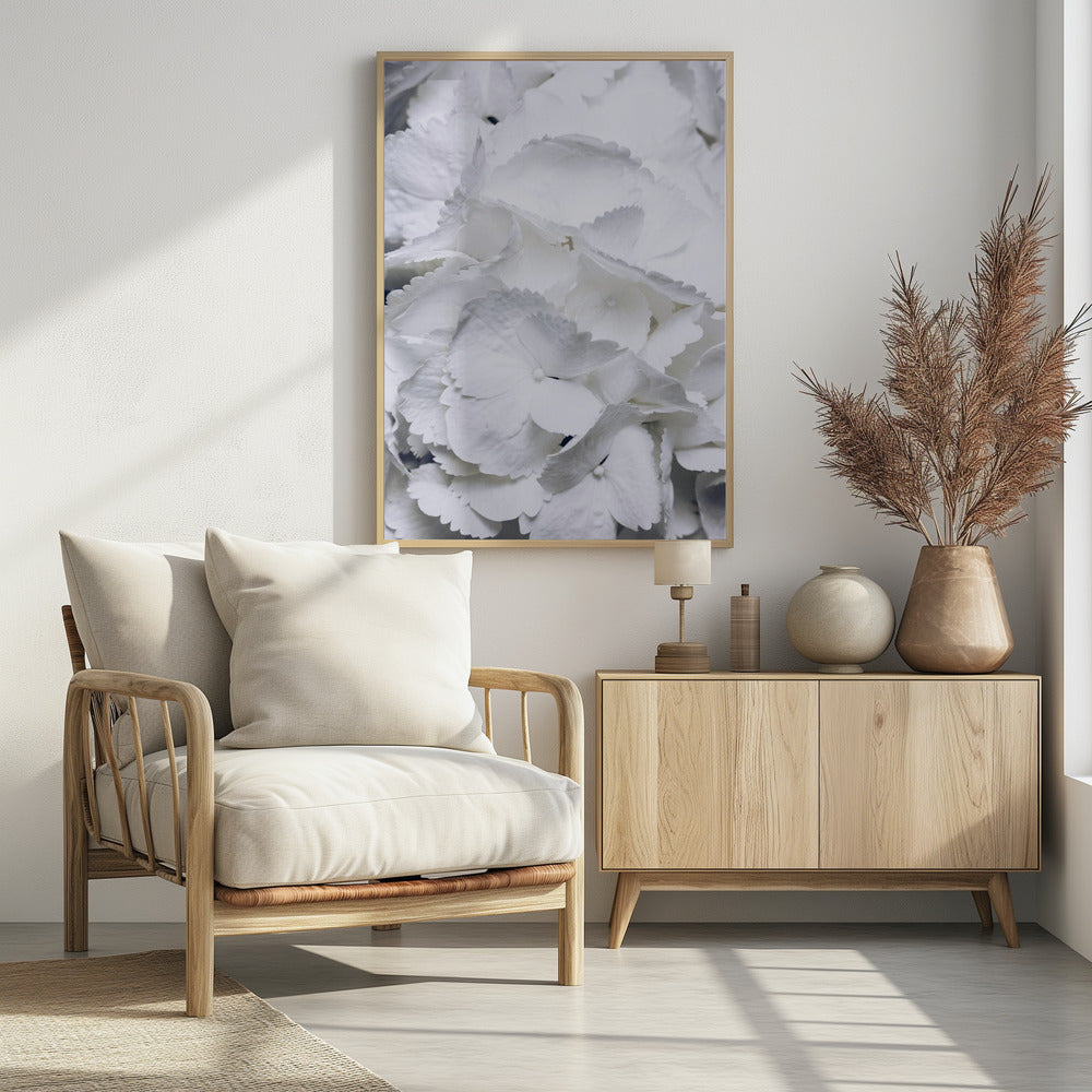 Delicate White Hydrangea Petals | Poster