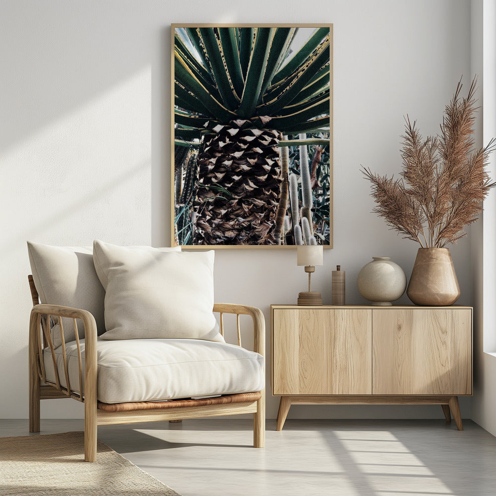 Cactus Plant | Poster