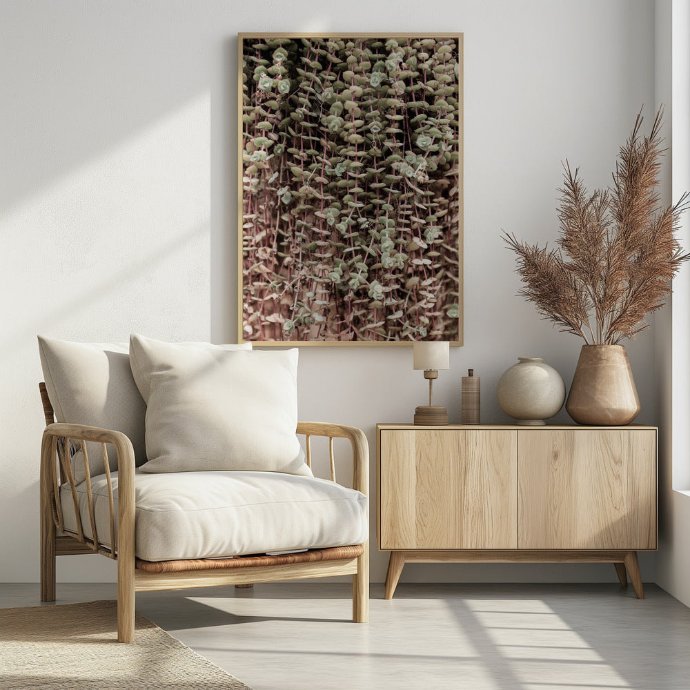 Succulent Symphony | Poster