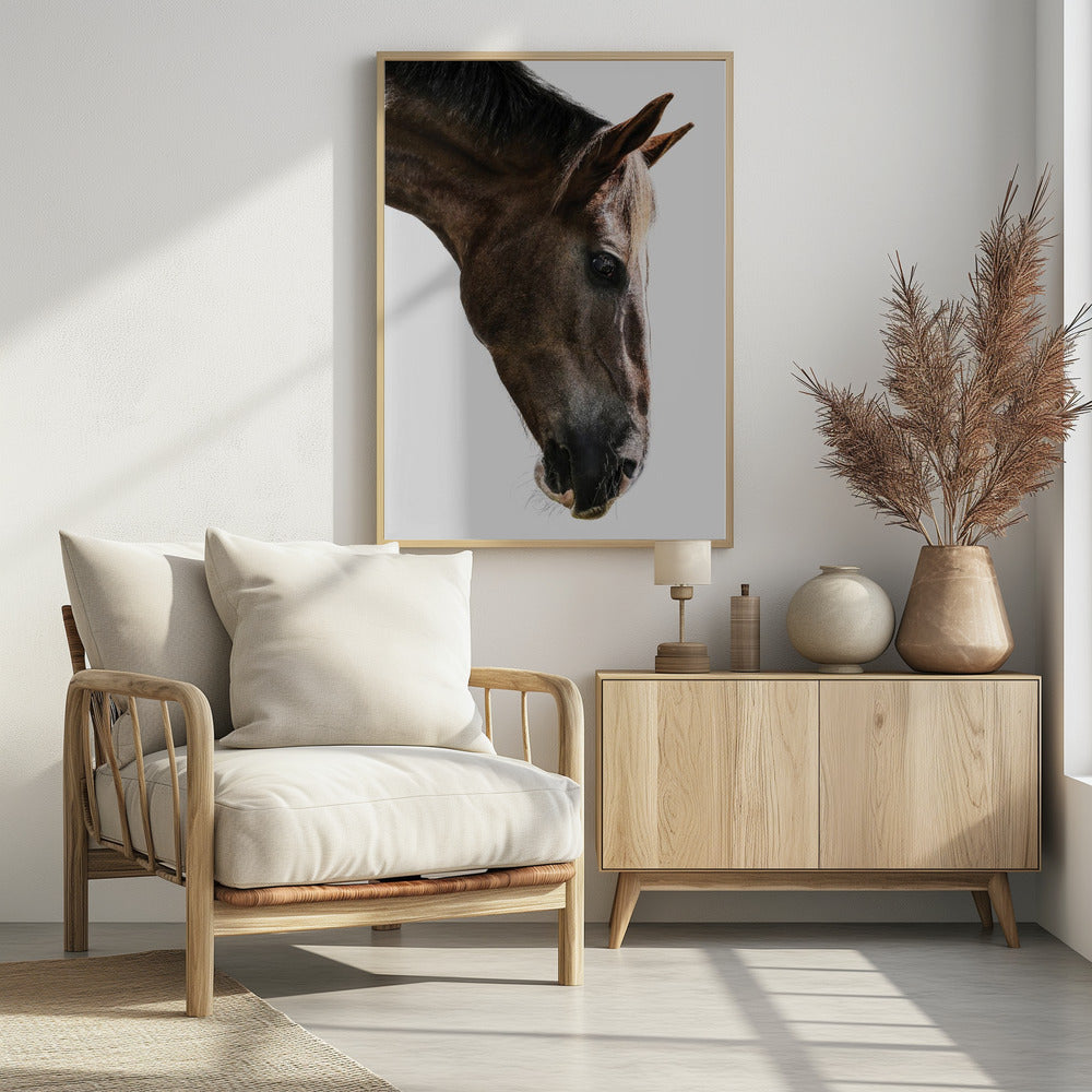 Majestic Equine Gaze | Poster