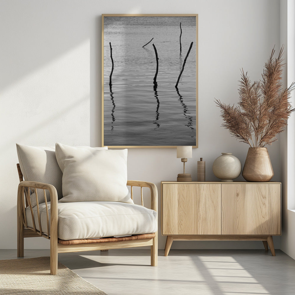 Silent Reflections | Poster