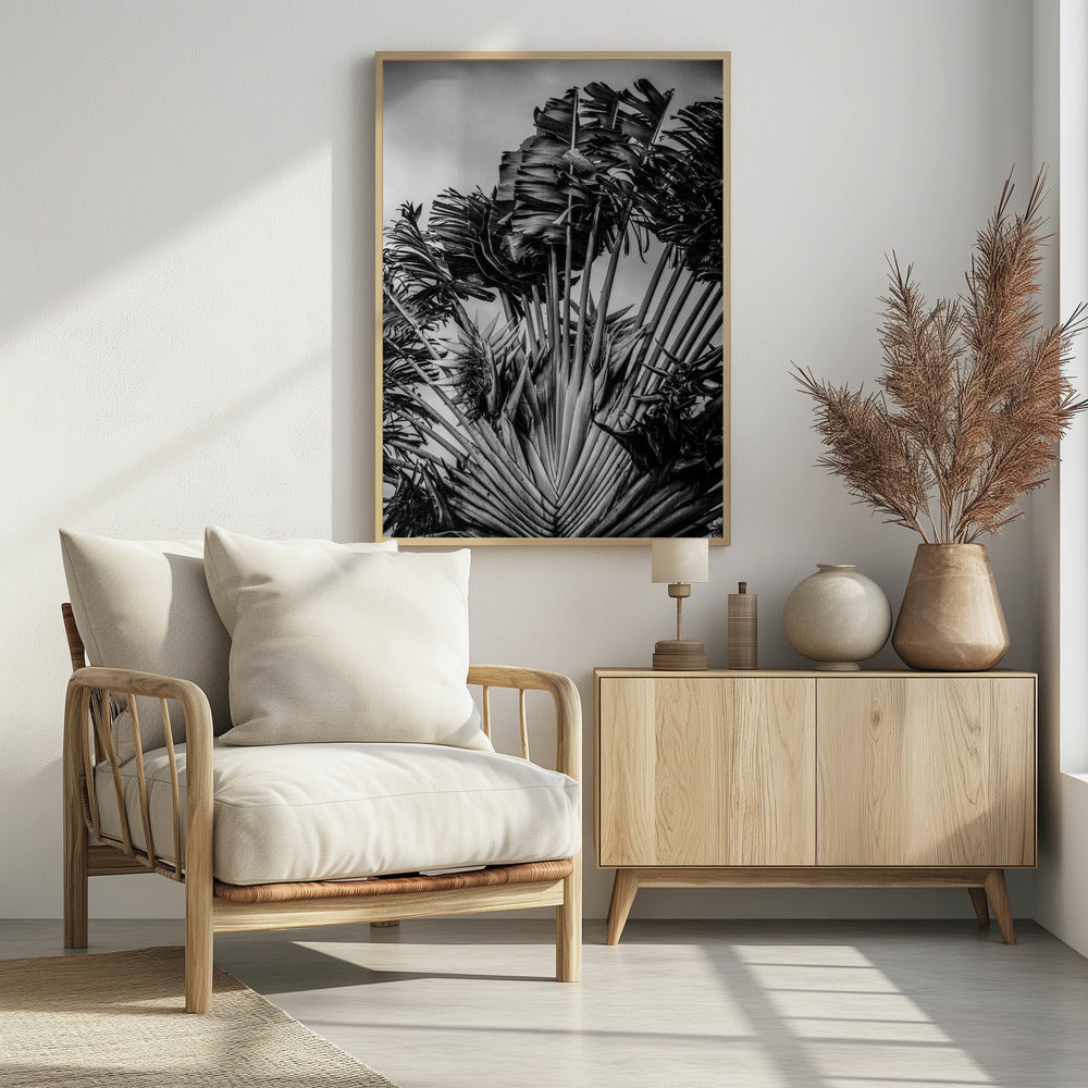 Tropical Dancer | Poster