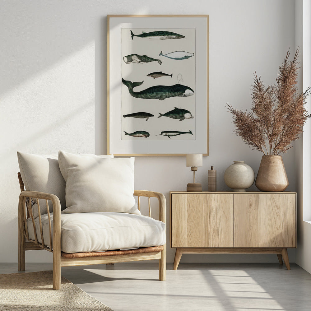 Vintage Whale Poster | Poster
