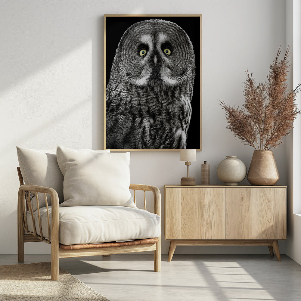Owl | Poster