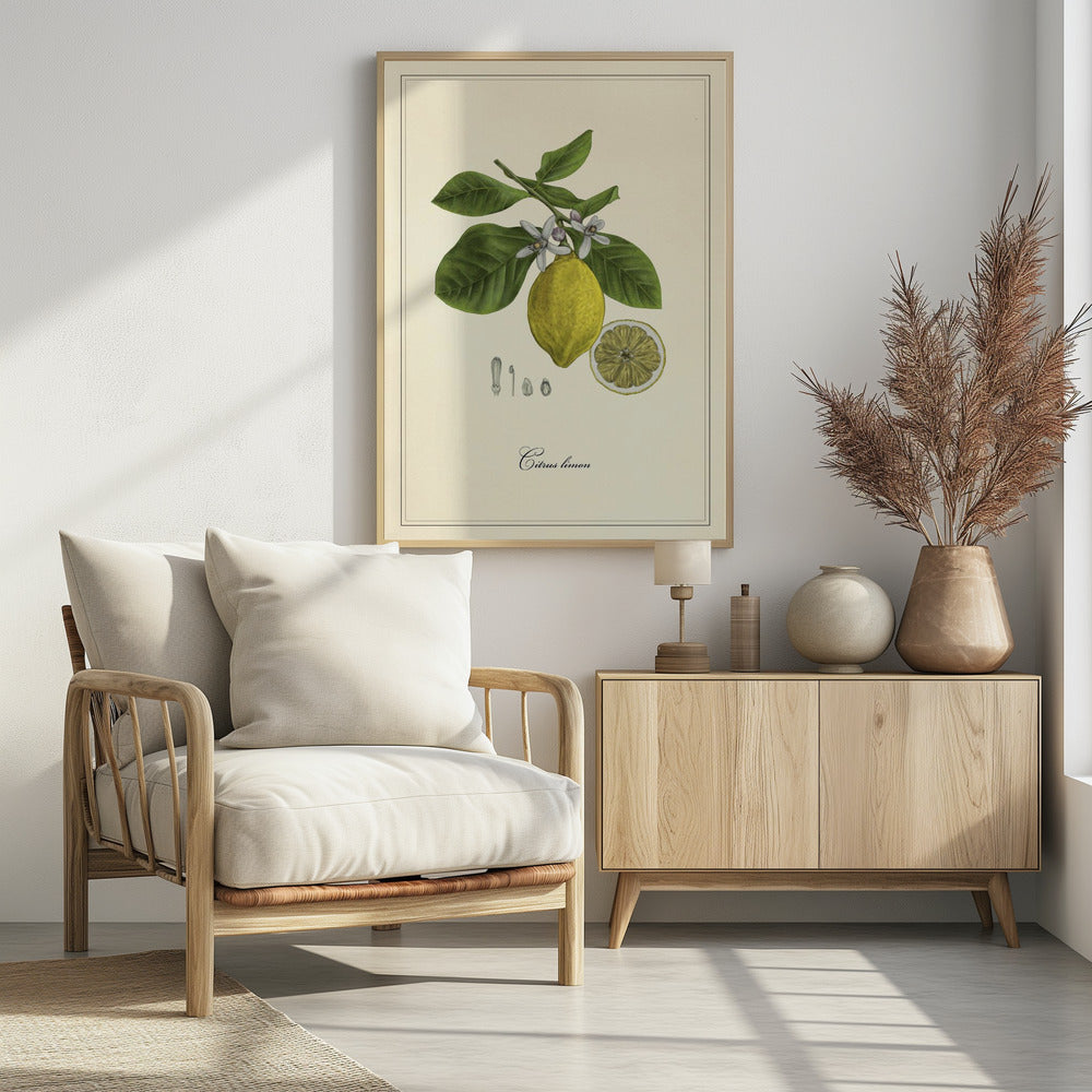 Lemon | Poster