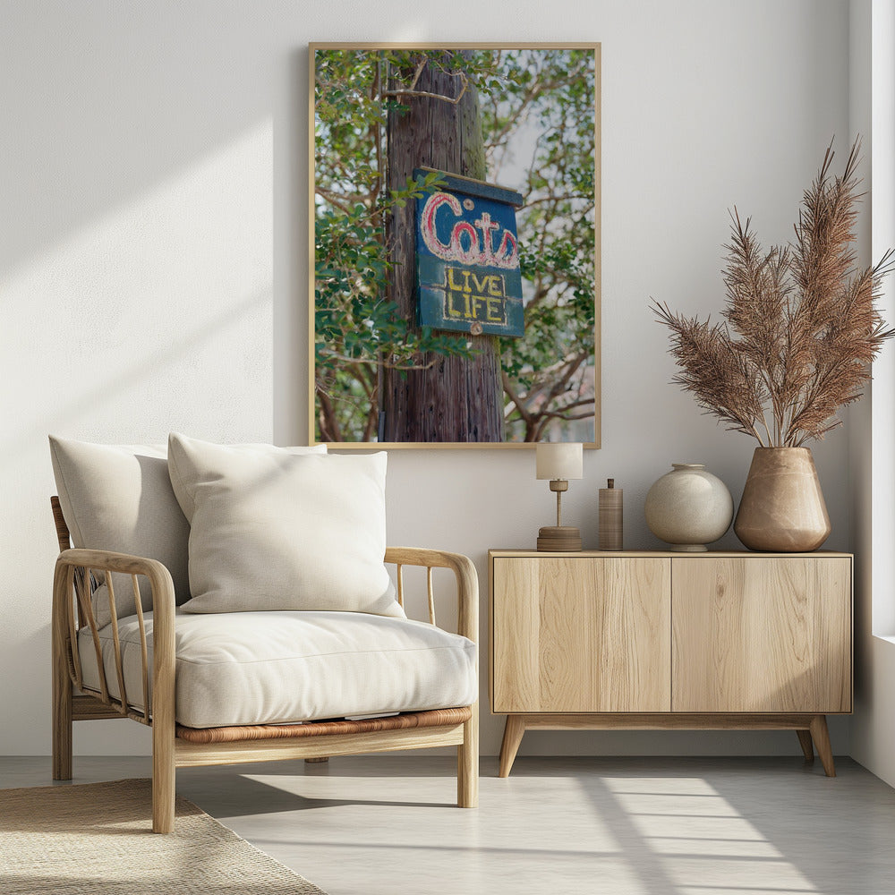 New Orleans Cats | Poster