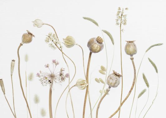 Pods | Canvas