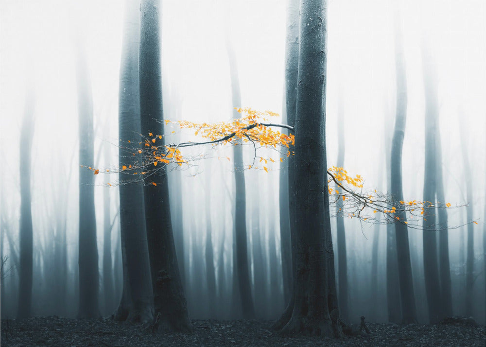 Speulder Revisited | Canvas
