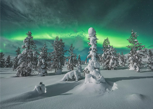 polar night | Canvas