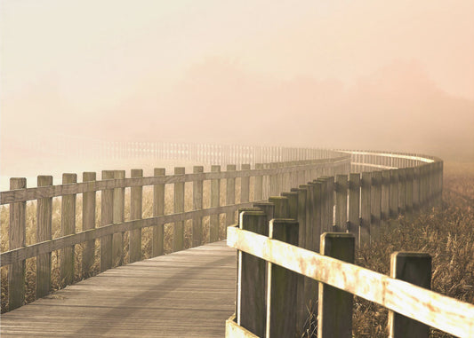 The Path gets brighter. | Canvas