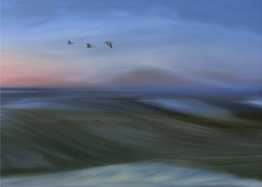 Migrants | Canvas