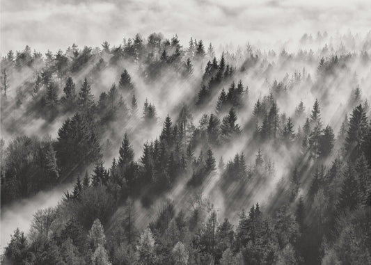 Sundance No.1 | Canvas