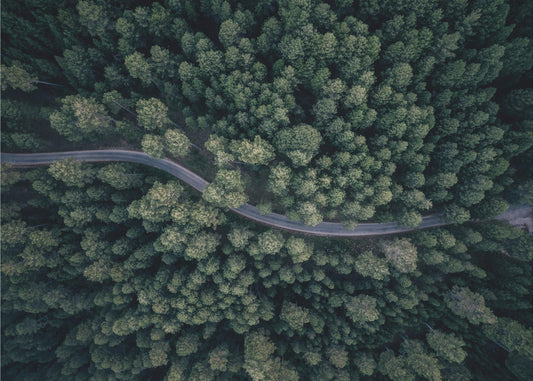 From above | Canvas