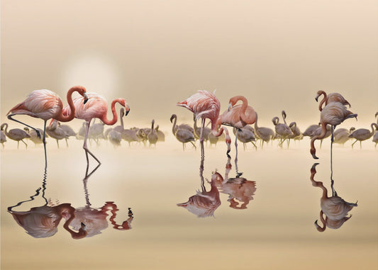 FLAMINGOS | Canvas