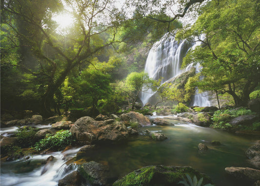 Mountain stream | Canvas