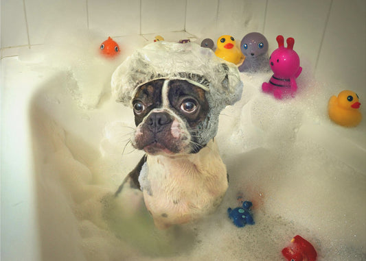 The Bath | Canvas