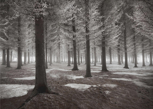 The onset of winter | Canvas