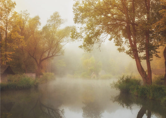 Foggy Autumn | Canvas