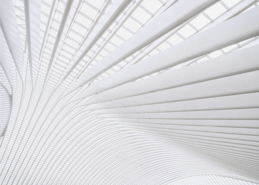 Curvature | Poster