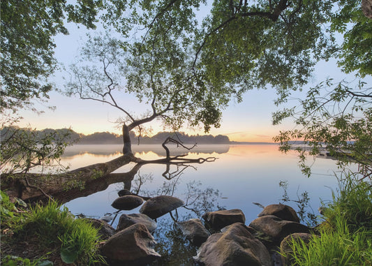 Lake view | Poster