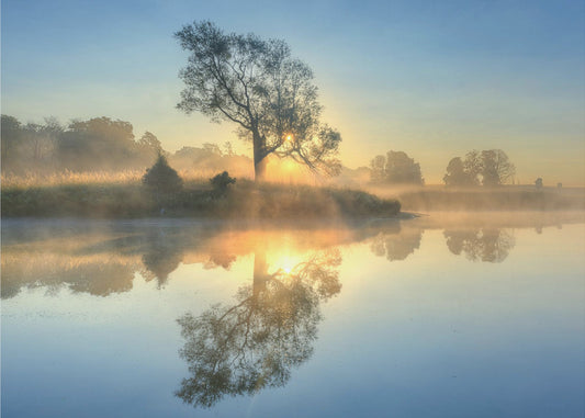 Morning reflection | Poster