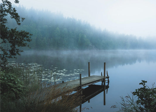 Moody morning | Canvas