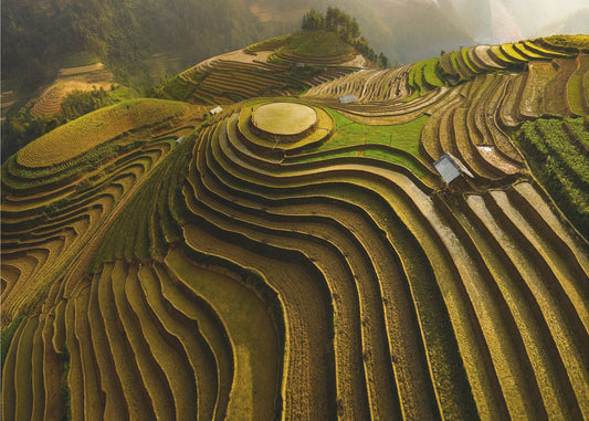 mu cang chai - vietnam | Canvas