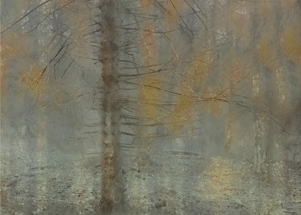 Pine tree | Poster