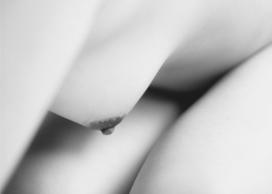 The body | Canvas