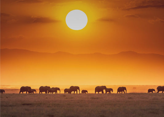 Sunrise parade | Canvas
