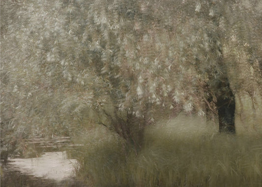 At the riverbank | Poster