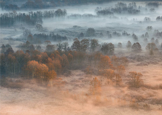 Autumnal misty dawn | Poster