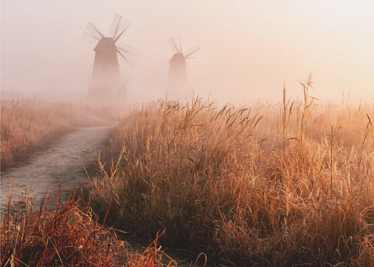 Morning mist | Canvas